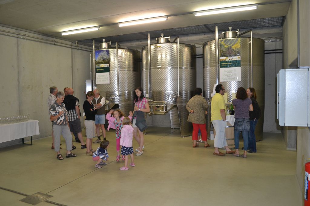 Weinbau Dieter Schweifer - Tag der offenen Kellertür - Rotweintank